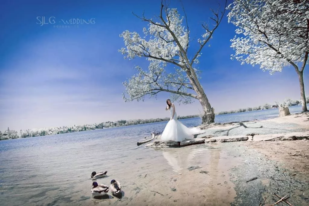 toronto-Lake-Wilcox-park-5-1024x682-視覺流感CanadaTorontoPre-weddingPhotography加拿大海外婚紗攝影@OverseasPre-WeddingPhotoCanadaToronto加拿大多倫多拍婚紗攝影