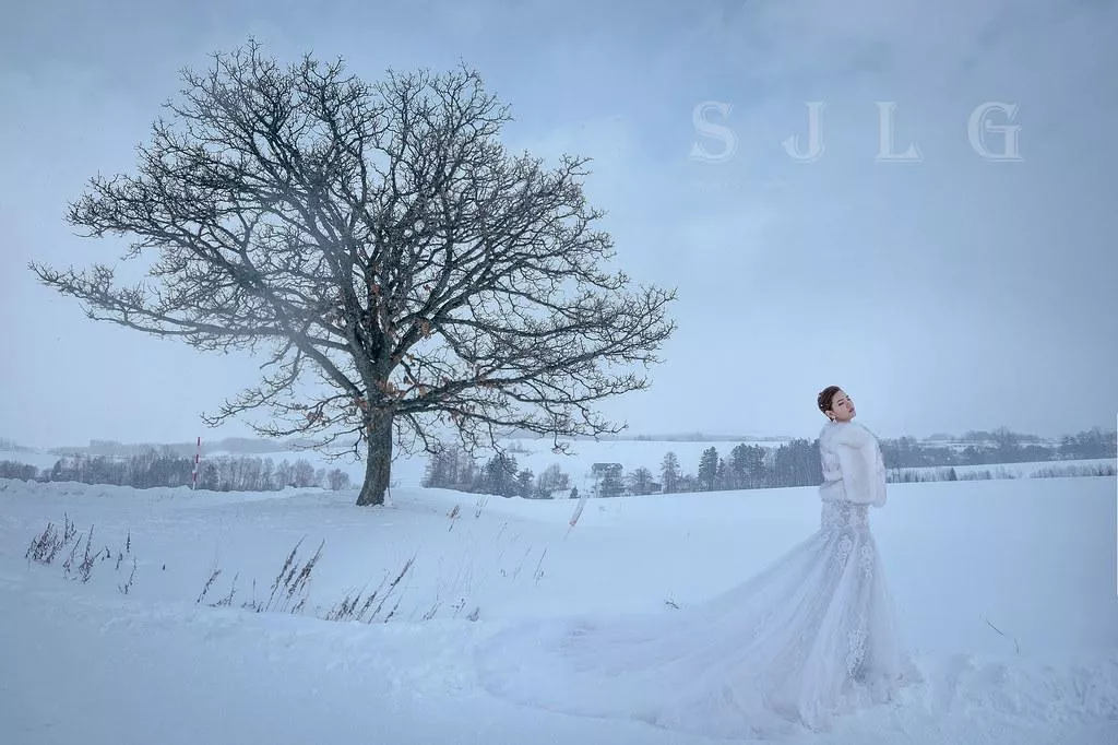 視覺流感海外婚紗攝影,日本北海道美瑛拍婚紗,七星之樹-MILDSEVEN之丘旅拍-海外婚紗攝影|日本北海道美瑛|七星之樹-MILDSEVEN之丘