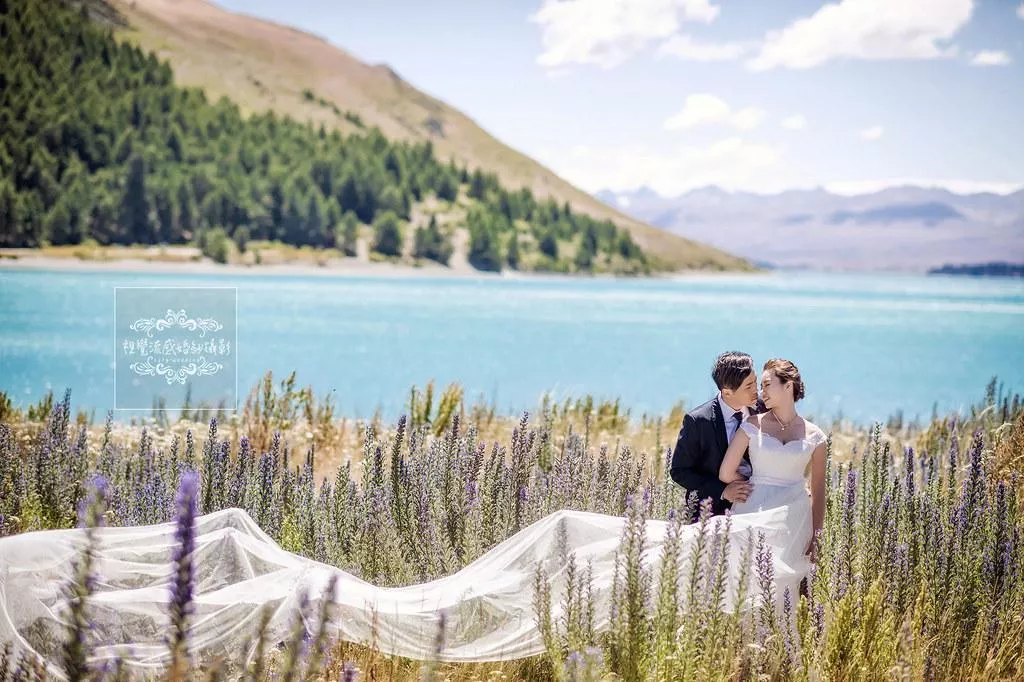 海外婚紗攝影|紐西蘭(新西蘭)NEWZEALAND|南島特(蒂)卡波湖LakeTekapo-魯冰花海-海外婚紗攝影|紐西蘭(新西蘭)NEWZEALAND|南島特(蒂)卡波湖LakeTekapo-魯冰花海