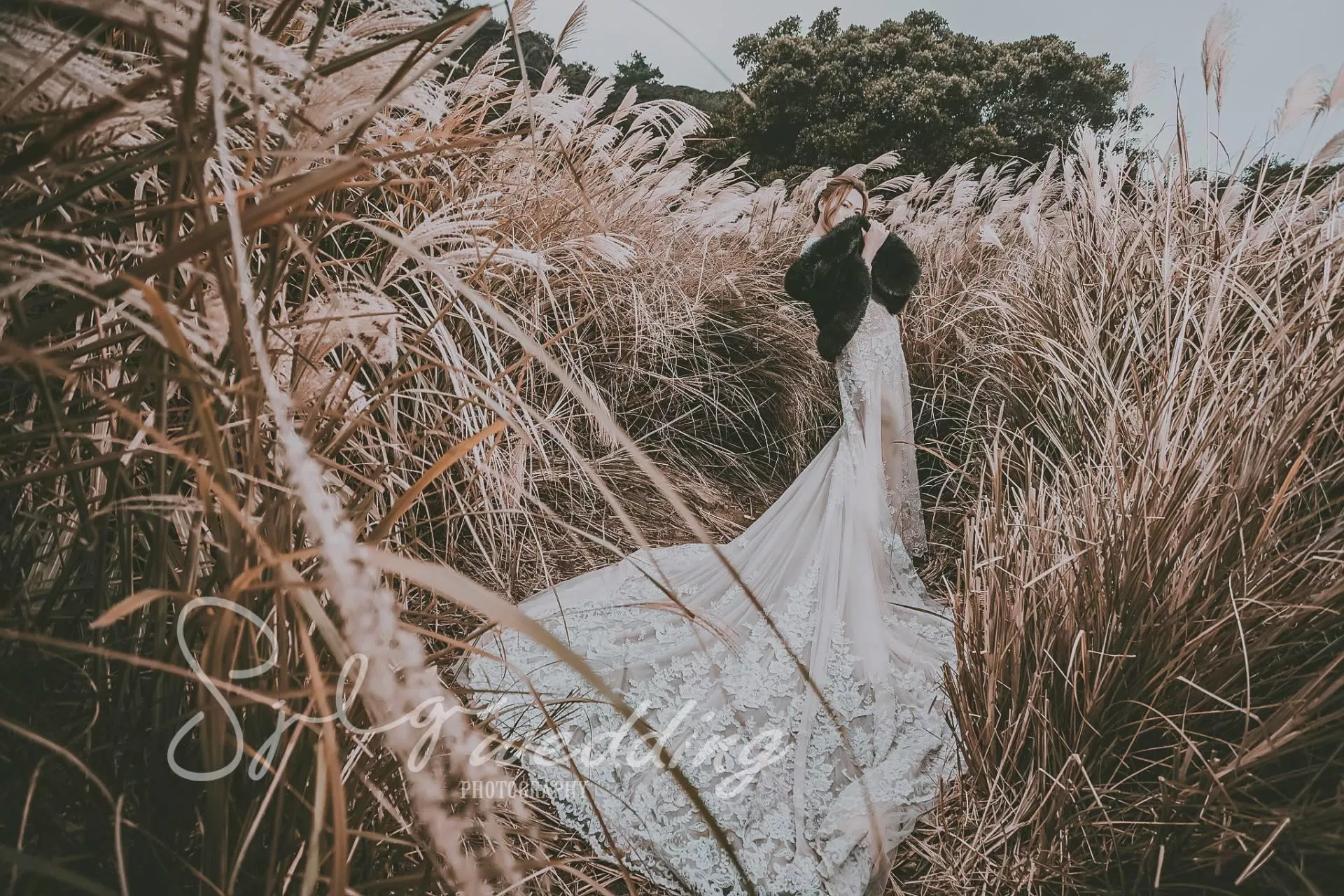 拍婚紗推薦|韓風婚紗|自然系婚紗|美式清新|活潑甜蜜婚紗|唯美婚紗|視覺流感攝影|手工禮服-婚紗攝影新人精選作品(D)|韓風|自然|個性|美式|活潑|甜蜜|溫馨|婚紗作品