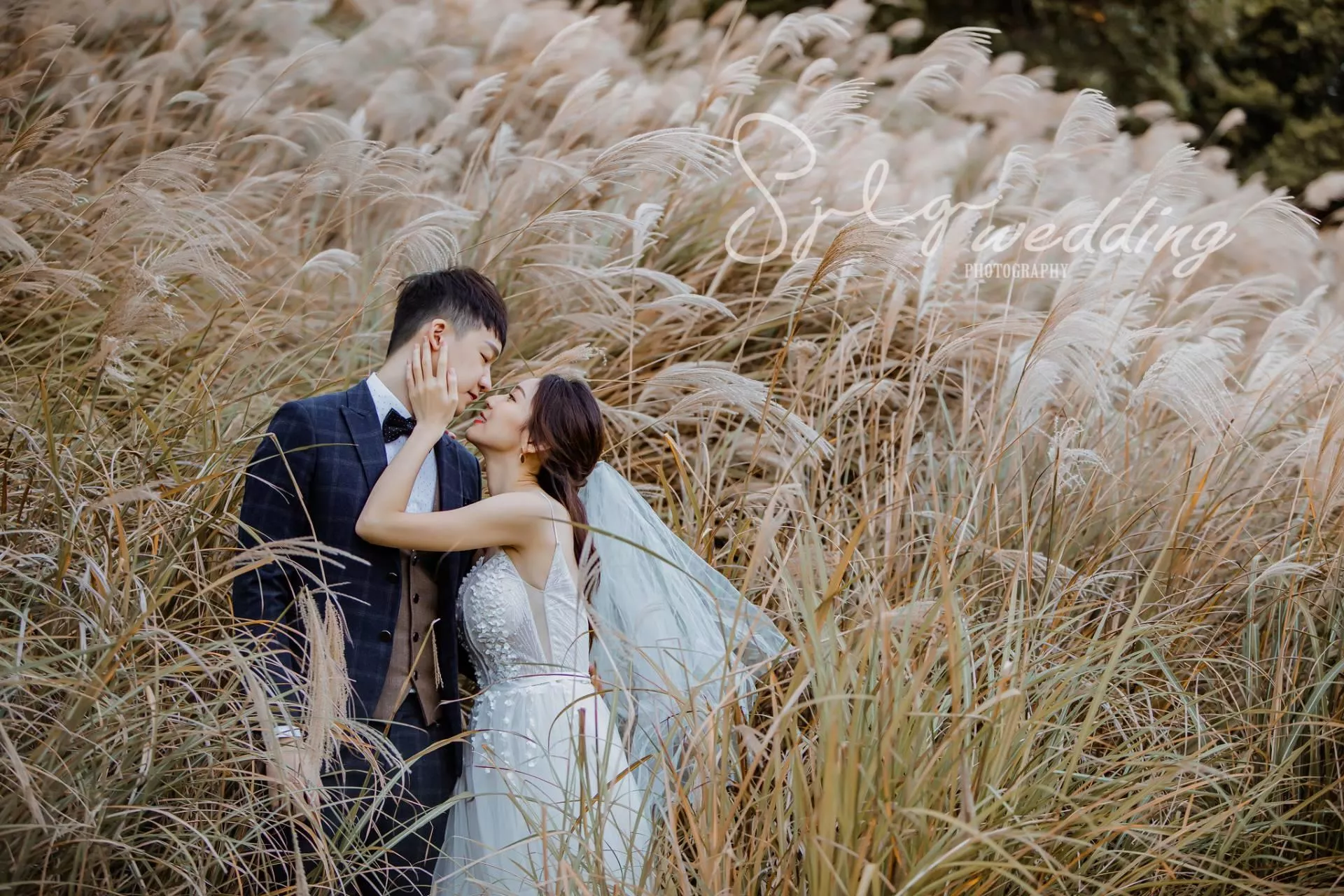 拍婚紗推薦|韓風婚紗|自然系婚紗|美式清新|活潑甜蜜婚紗|唯美婚紗|視覺流感攝影|手工禮服-婚紗攝影新人精選作品(D)|韓風|自然|個性|美式|活潑|甜蜜|溫馨|婚紗作品