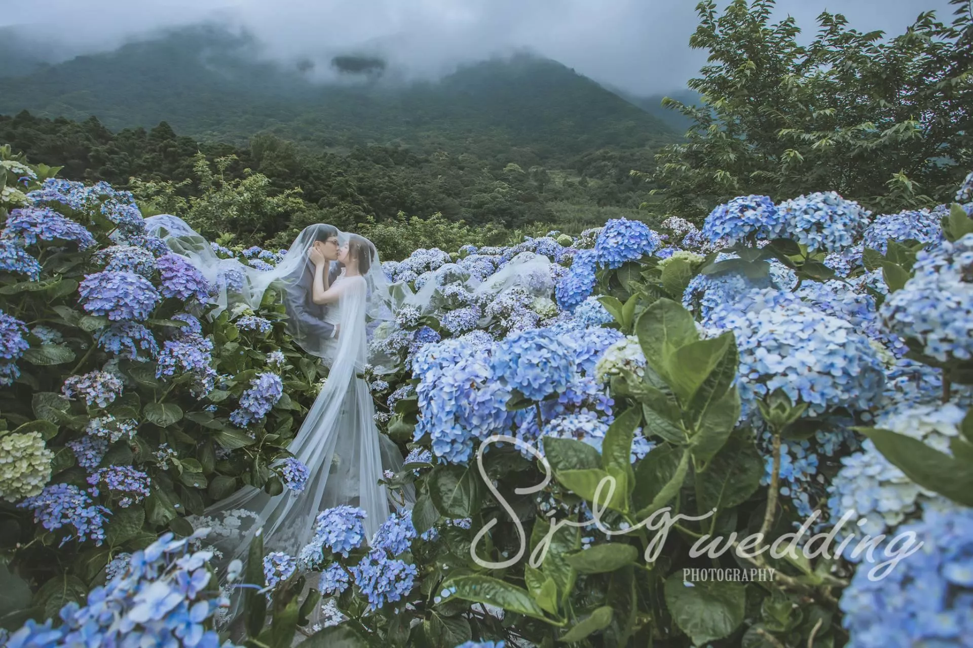 拍婚紗推薦|韓風婚紗|自然系婚紗|美式清新|活潑甜蜜婚紗|唯美婚紗|視覺流感攝影|手工禮服-婚紗攝影新人精選作品(D)|韓風|自然|個性|美式|活潑|甜蜜|溫馨|婚紗作品