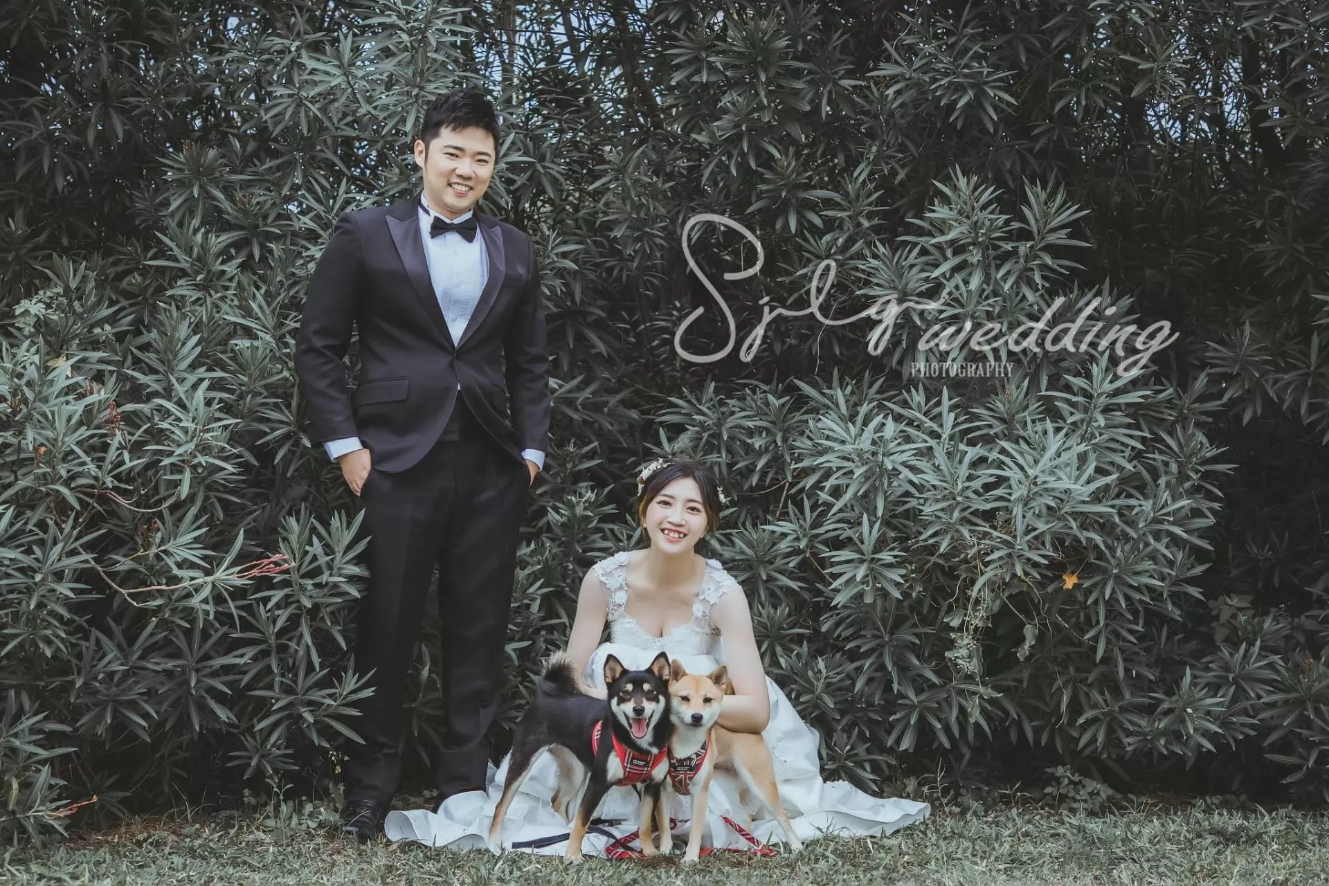 拍婚紗推薦|韓風婚紗|自然系婚紗|美式清新|活潑甜蜜婚紗|唯美婚紗|視覺流感攝影|手工禮服-婚紗攝影新人精選作品(D)|韓風|自然|個性|美式|活潑|甜蜜|溫馨|婚紗作品