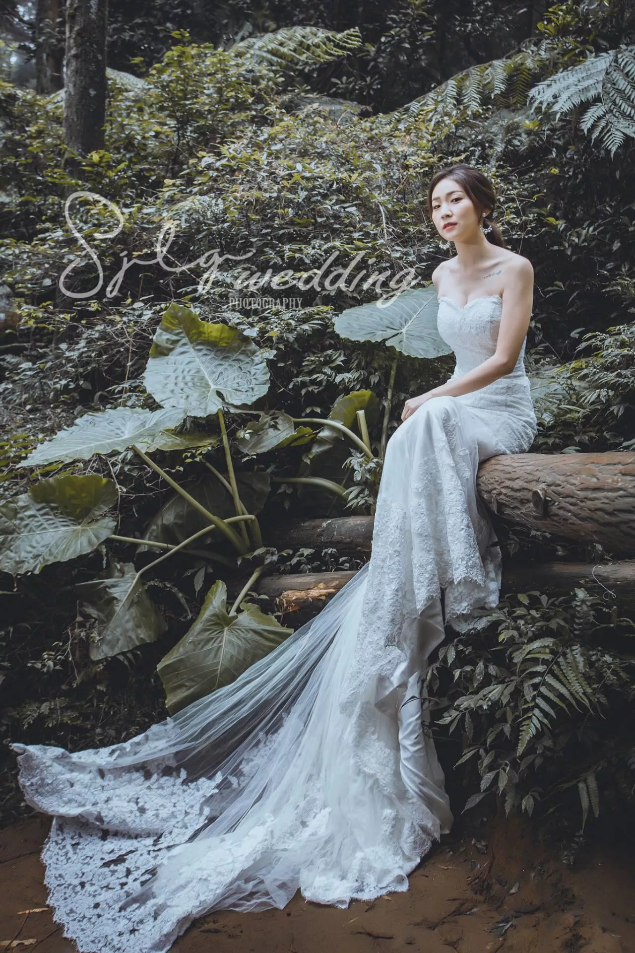 拍婚紗推薦|韓風婚紗|自然系婚紗|美式清新|活潑甜蜜婚紗|唯美婚紗|視覺流感攝影|手工禮服-婚紗攝影新人精選作品(D)|韓風|自然|個性|美式|活潑|甜蜜|溫馨|婚紗作品